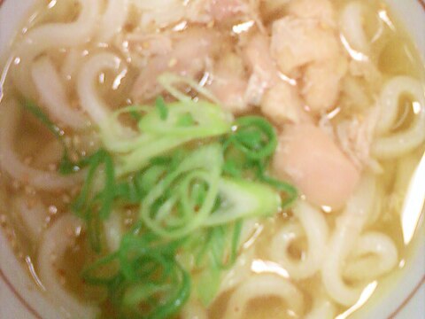 .:♪*:･鶏肉と長ねぎの　冷たいうどん.:♪*